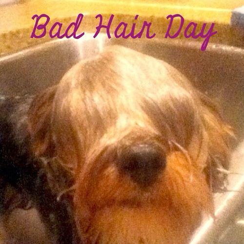 Us girls all have them once in awhile. #badhairday