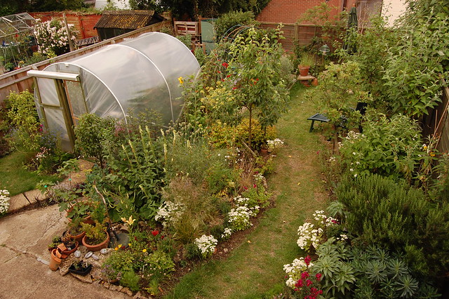 A flourishing back garden