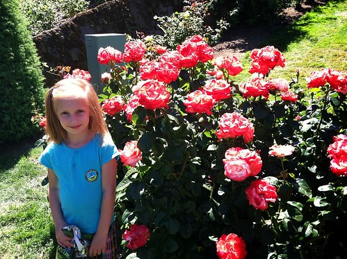 July 10 2013 haley Rose Garden