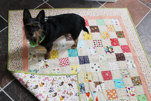 Dog on a Quilt