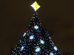National Christmas Tree, Washington, D.C. - December 21, 2011