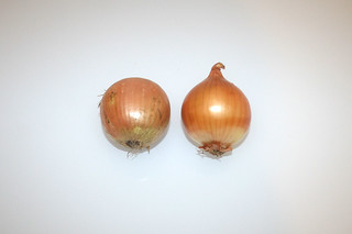 10 - Zutat Zwiebeln / Ingredient onions