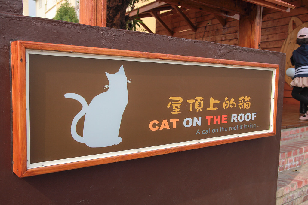 屋頂上的貓