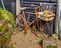 Hastings bicycle