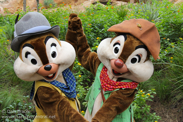 Grizzly Gulch Chip n Dale