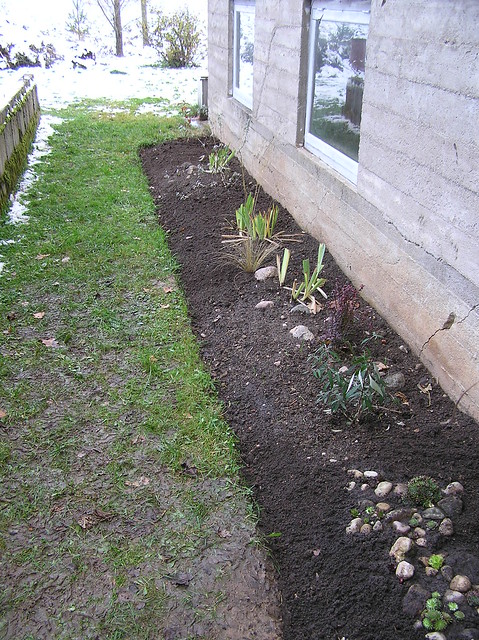 Tulip bed in fall 2012