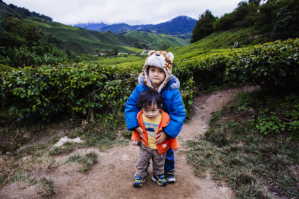 Children Photography | HaiQal and Raphael at Cameron Highlands | Boh Tea Plantation Sungai Palas