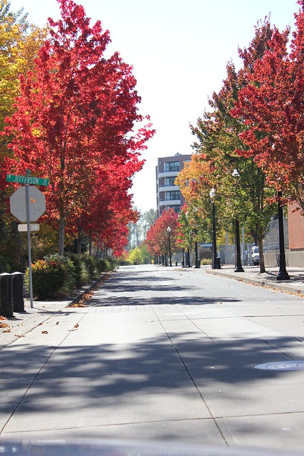 Fall in Corvallis