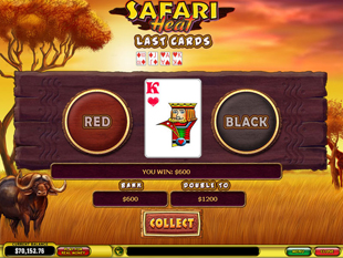 free Safari Heat slot gamble feature