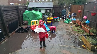 Making the most of the garden flood
