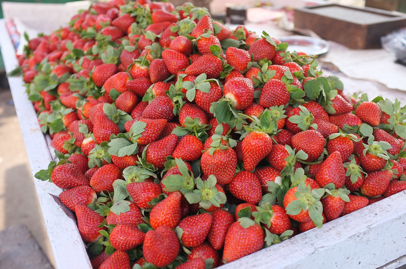 Ras El Bar market strawberry