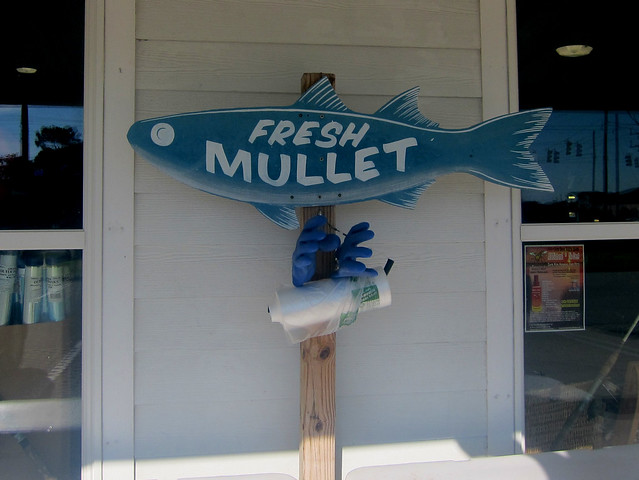 fresh mullet