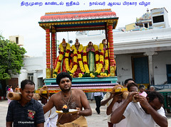 Panniru Thirumurai vizaa (பன்னிருதிருமுறை விழா )
