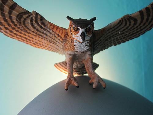 HERE IS AN OWL by Rakka