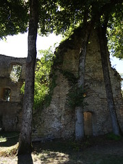 Chateau d'Arlay - Arlay