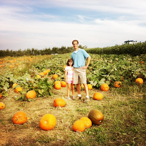 In the pumpkin patch.