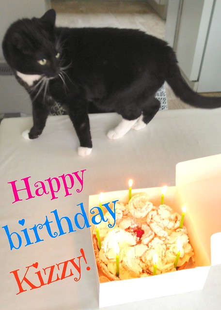Cat's Birthday