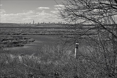 Manhattan Skyline In The Far Distance