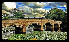 Bridge over the River Soar,Abbey Park,Leicester #Leicester#camera+ by davidearlgray