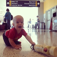 Oakland Airport. Ready for his... 9th(?) flight! #miro