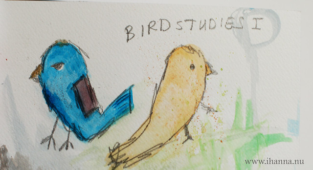 Bird studies I