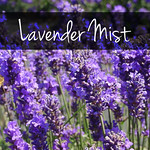 closeup lavender