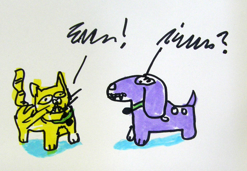 cat & dog converse
