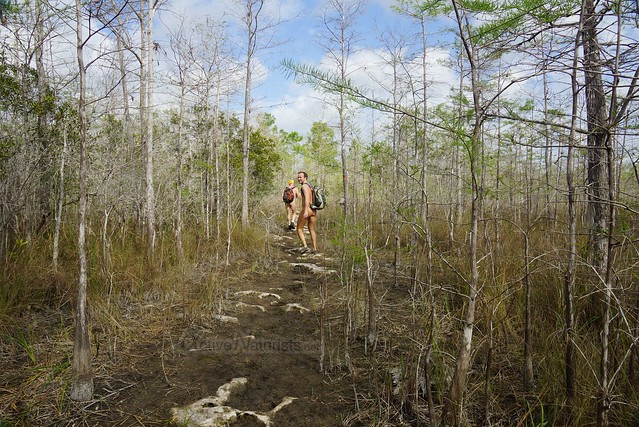 naturist 0000 Big Cypress Preserve, Florida, USA
