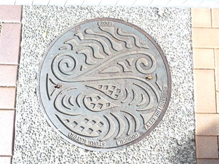 Manhole Cover, Wellington