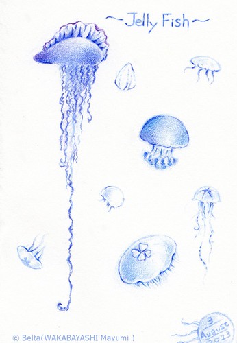 2013_08_04_jelly fish_01_s by blue_belta