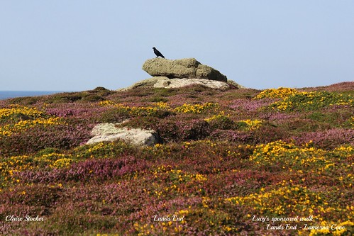Lands End by Stocker Images