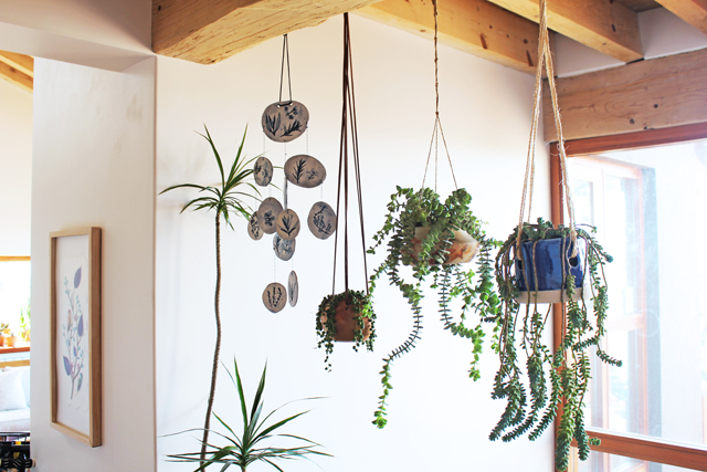 Happy hanging plants