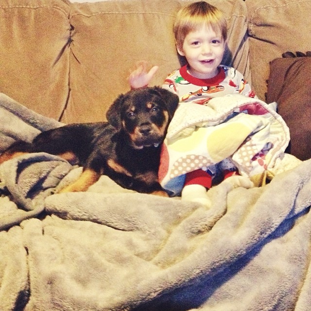 Icy Friday morning with the boy and his dog... #puppy #rottie
