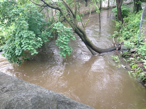Brook at Near Flood Stage