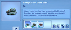 Vintage Giant Clam Shell