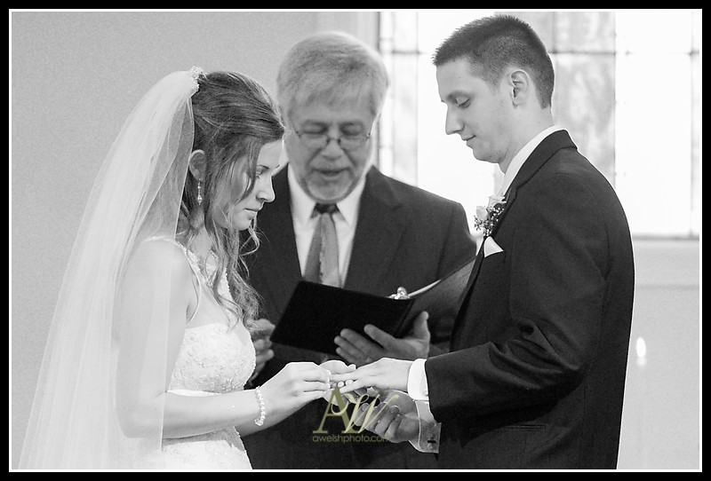 Rochester NY Wedding Photographer Spencerport Canandaigua Photography Party Ceremony Senior Family Portrait
