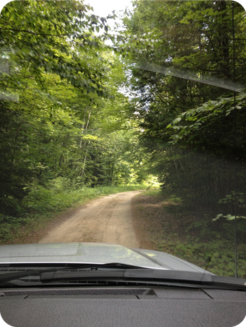 F150 on a wee dirt road