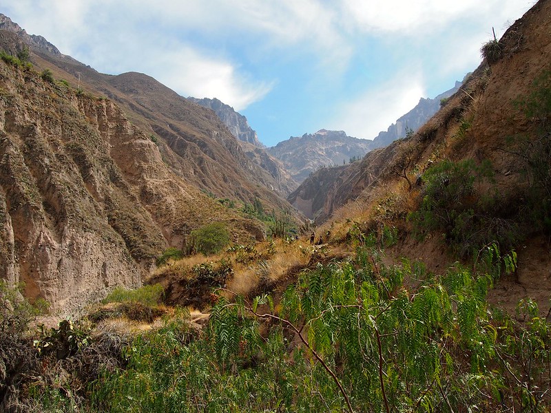 Colca Canyon Trek, Peru