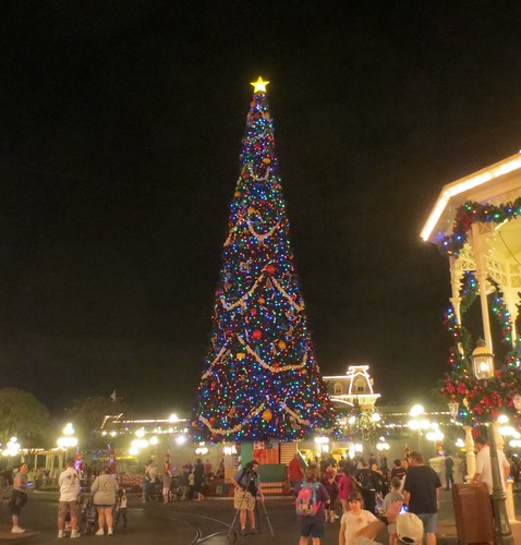 Giant tree at the Magic Kingdom, night