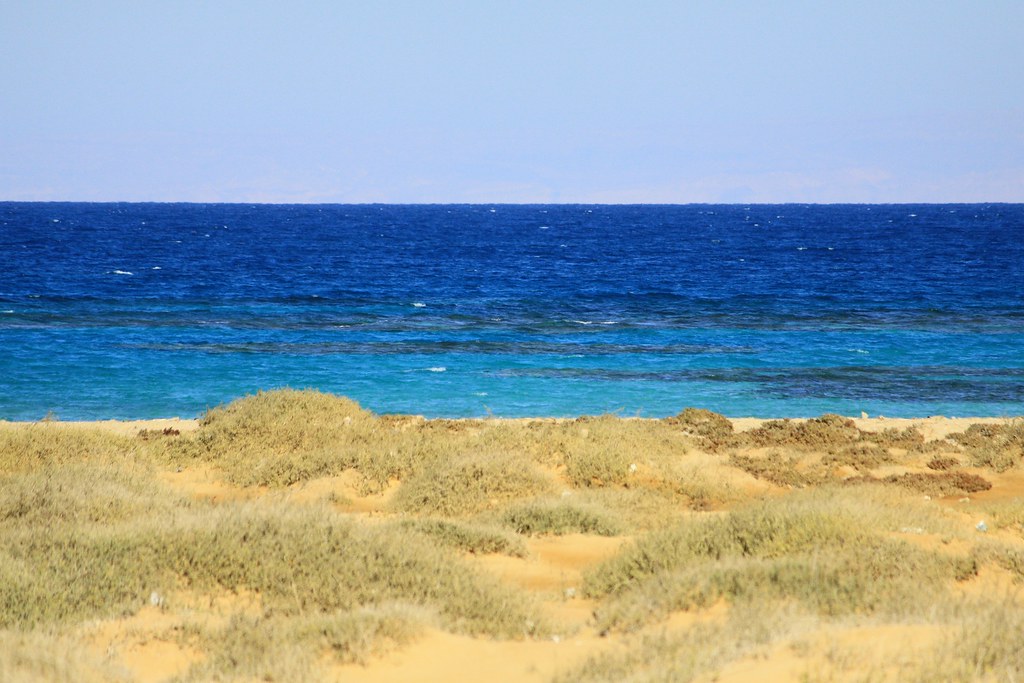 Red sea,