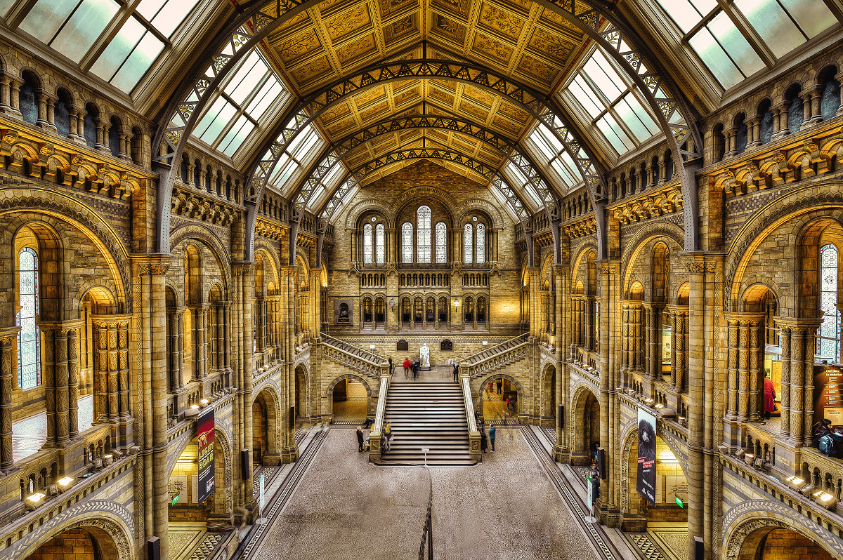 Inside The Natural History Museum, London. Credit Gene Krasko