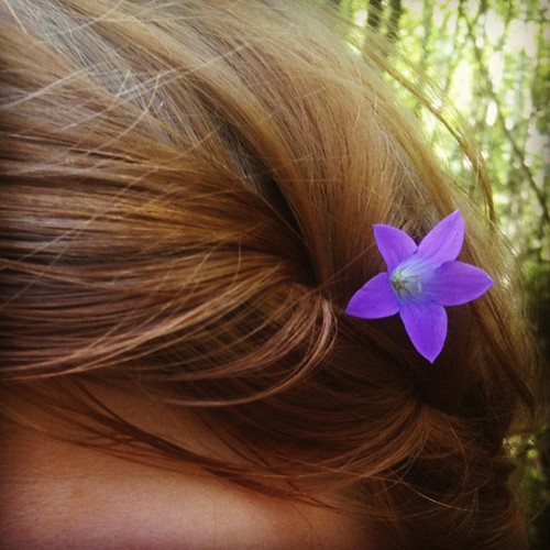 Flowers in my hair today