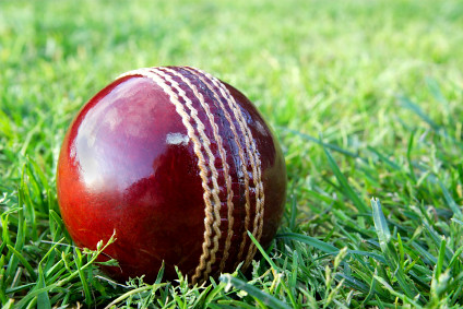 New cricket ball on grass.