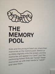 IMG_5696 the memory pool