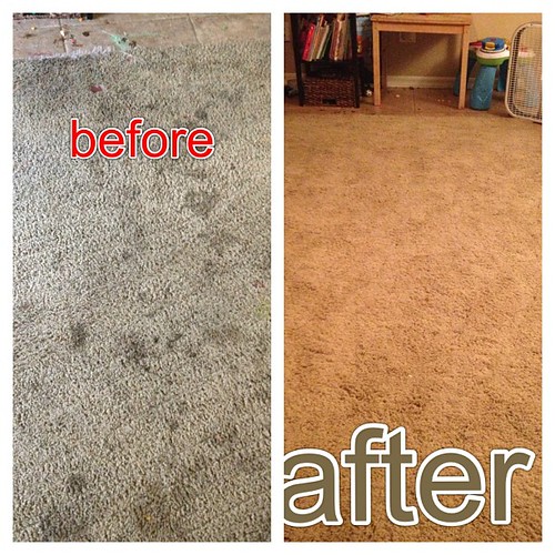 My feel sorry for me #carpetcleaning