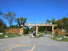 2011 - 10 Parc Oméga - Outaouais