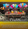 CraftSanity Magazine Issue 8