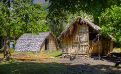 Houses of Tanna Island, Vanuatu