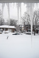 Snow Day, Feb 2013