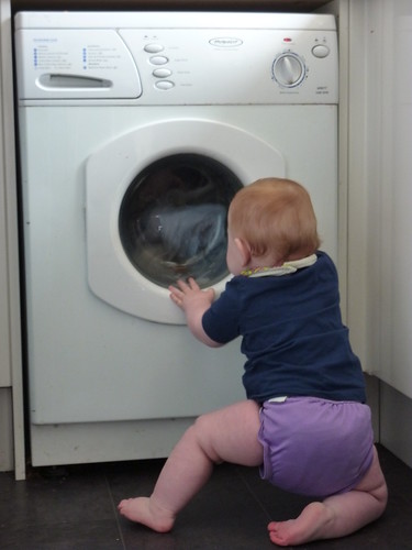 Who needs television when you can watch the washing machine?